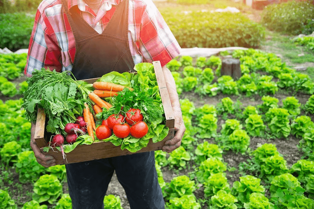 Horticulture Quiz-9