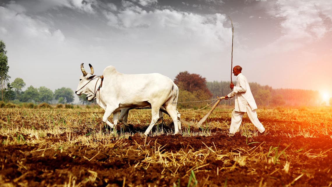 Agriculture Quiz-5