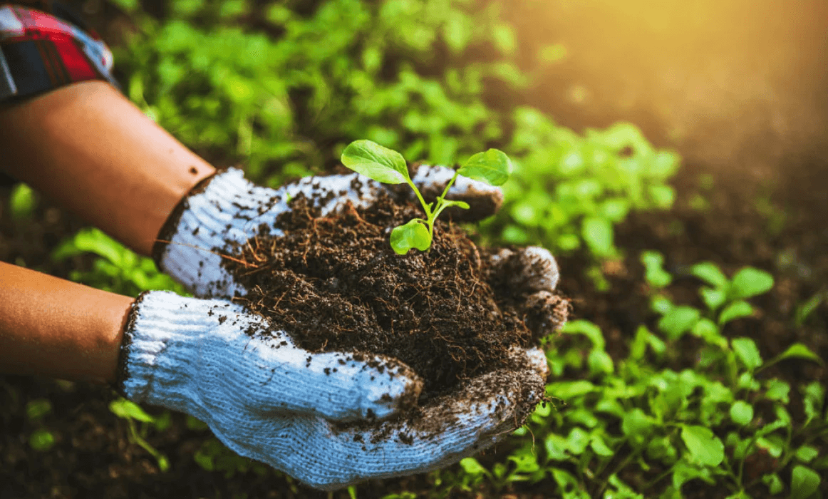 Agriculture Assessment
