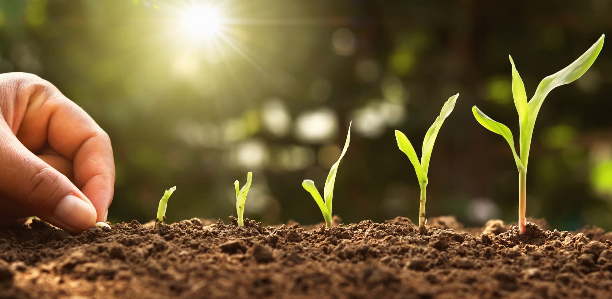 Agricultural Practices Trivia