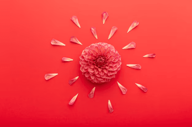 Sexual Reproduction in Flowering Plants Quiz 4
