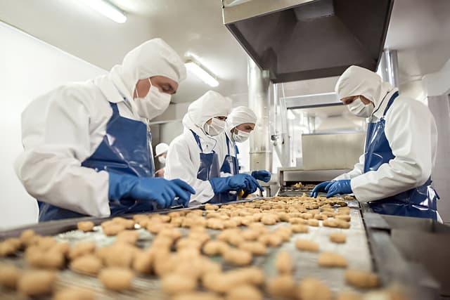 Food Production Quiz-1