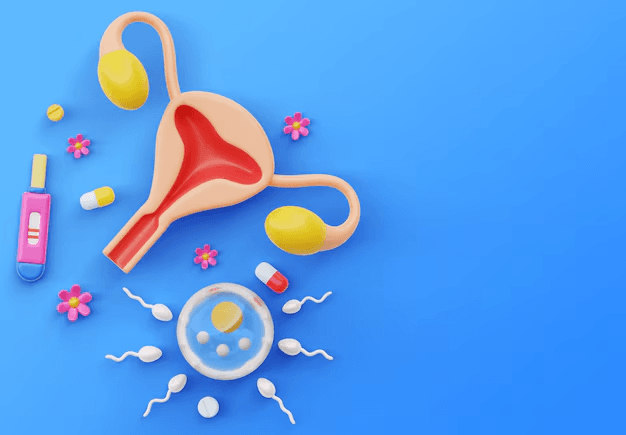 Human Reproduction Quiz 3