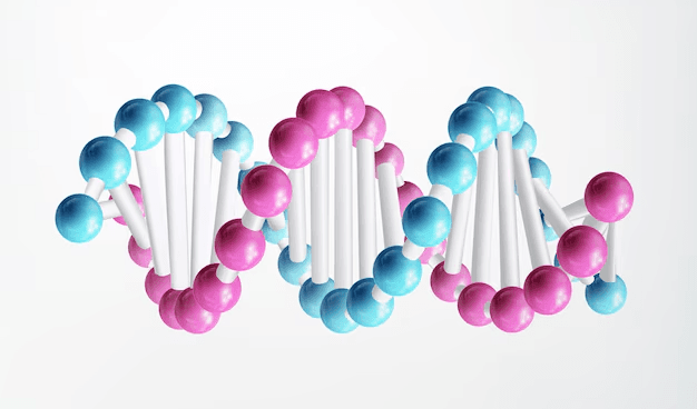Molecular Basis of Inheritance Quiz 1