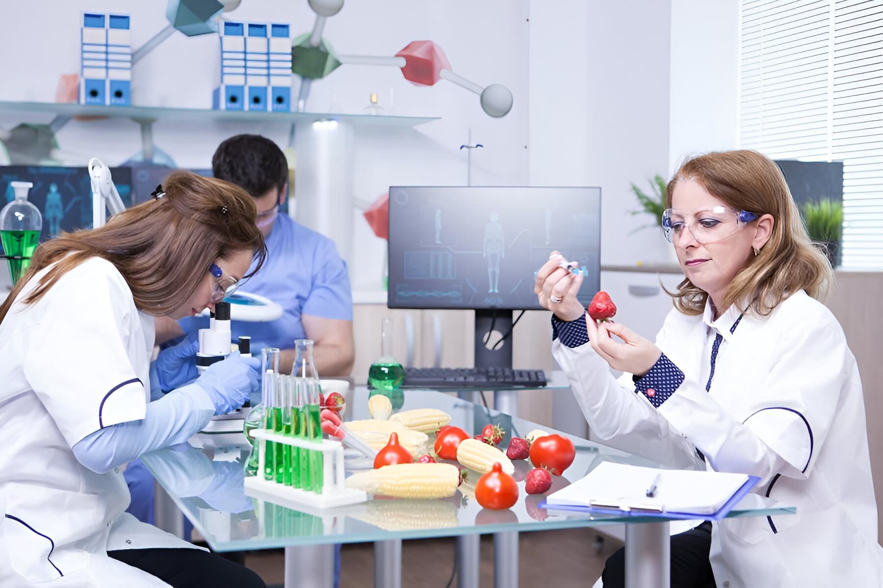 Food Production Knowledge Assessment