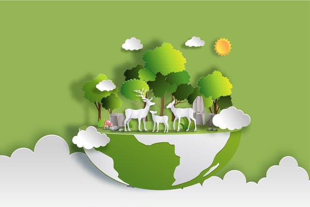 The Living World Quiz 1