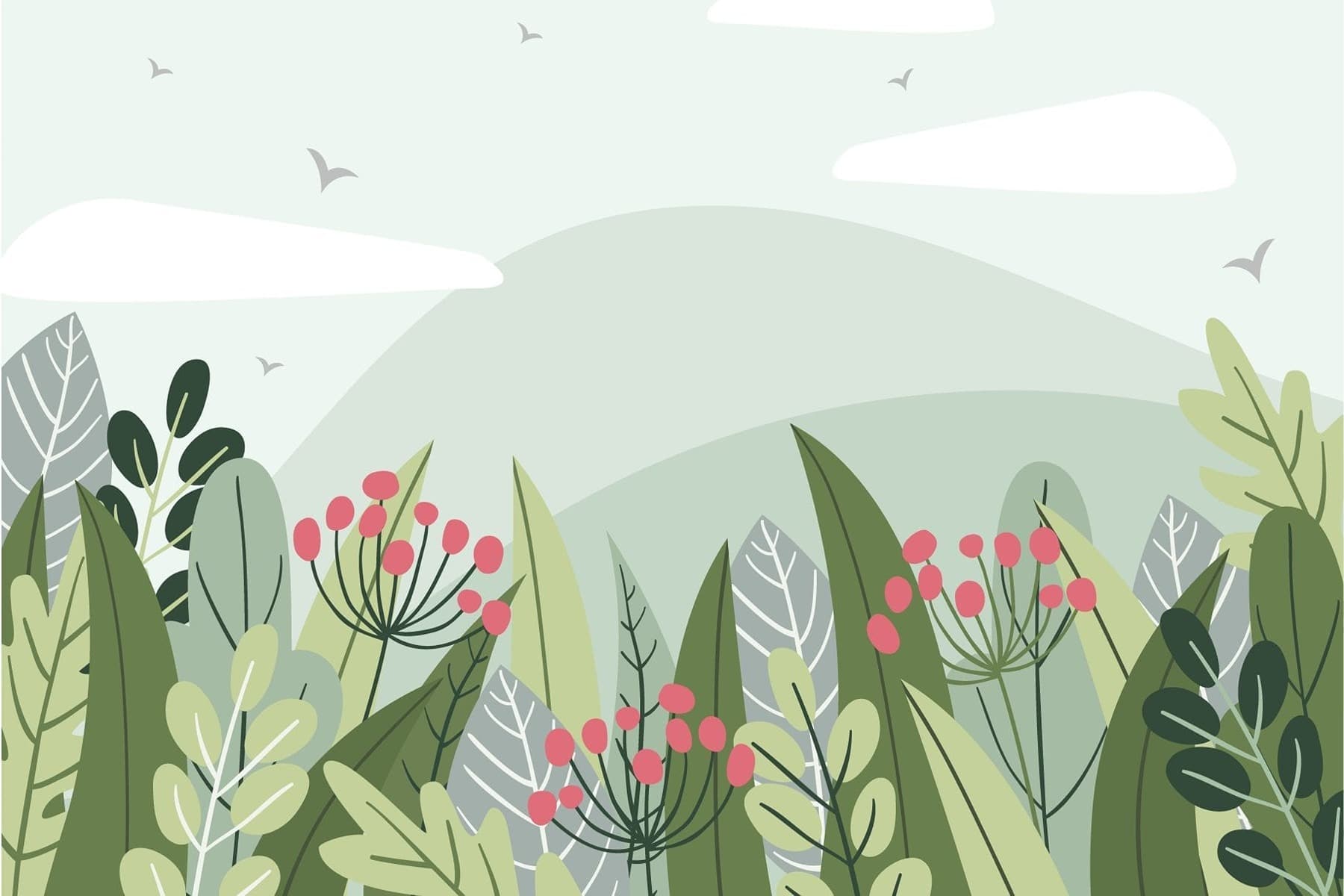 Plant Kingdom Quiz 2