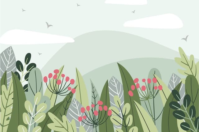 Plant Kingdom Quiz 2