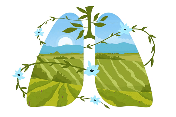 Respiration in Plants Quiz 3
