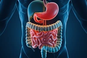 Digestion and Absorption Quiz 1
