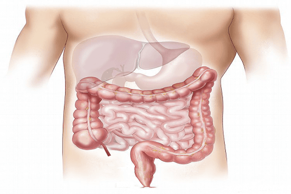 Excretory products and their elimination Quiz 1