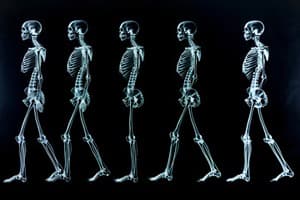 Locomotion and Movement Quiz 1