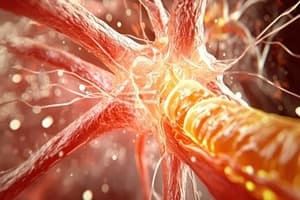 Neural control and coordination Quiz 2