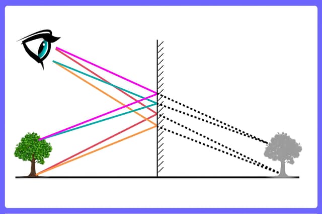 Light -Reflection and Refraction Quiz 5