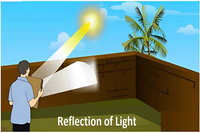 Light -Reflection and Refraction Quiz 8