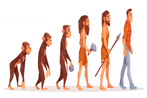 Heredity and Evolution Quiz 4