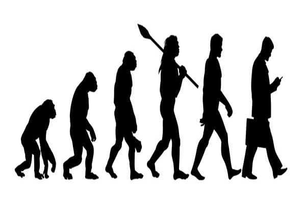 Heredity and Evolution Quiz 7
