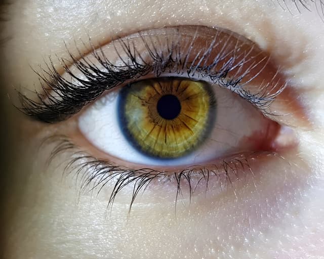 Human Eye and Colourful World Quiz 6