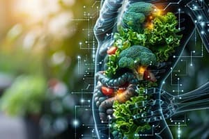 Nutrition Quiz 4