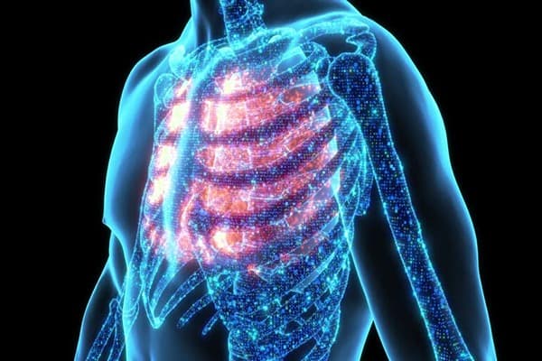 Respiration Quiz 3