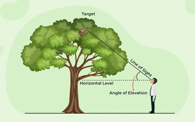 Heights and Distance Quiz 1