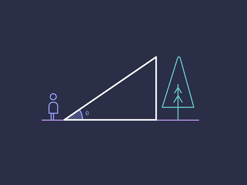 Heights and Distance Quiz 3