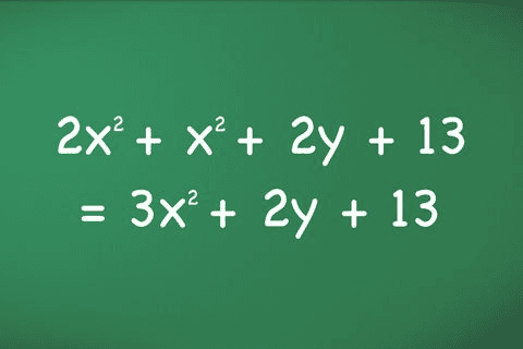 Polynomials Quiz 2