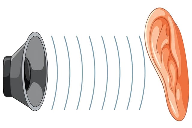 Sound Quiz 2