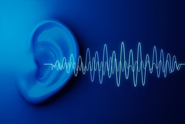 Sound Quiz 3