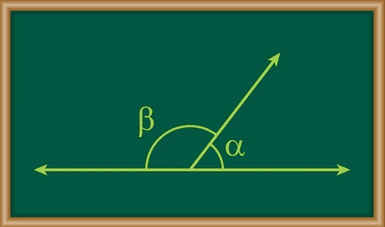 Lines and Angles Quiz 5