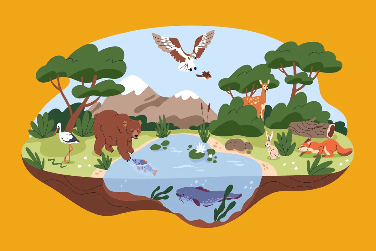 Biosphere Quiz 2