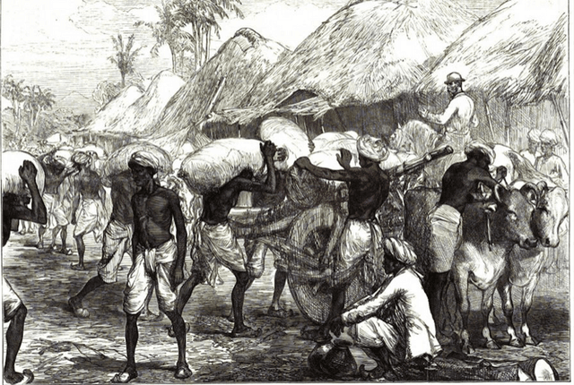 Impact of Colonialism in India Quiz 3