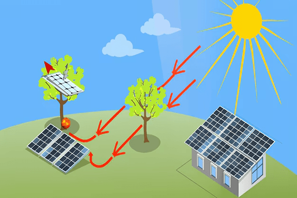 Energy from the Sun Quiz 1