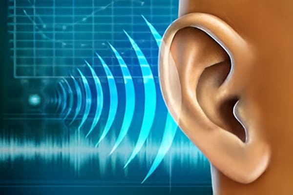 Sound Quiz 3