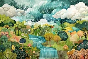 Rain and Rivers Quiz 4