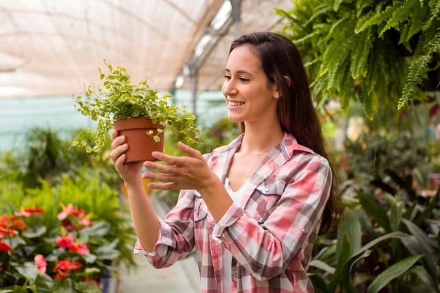 Nutrition in Plants Quiz 2