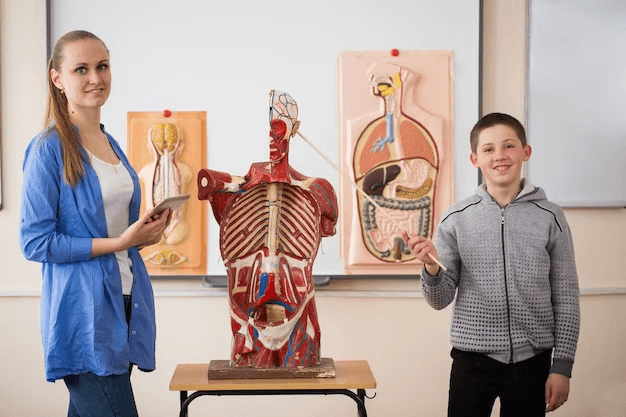 Human Anatomy Fun Quiz