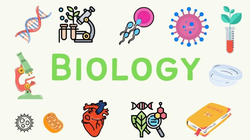 Biology Quiz