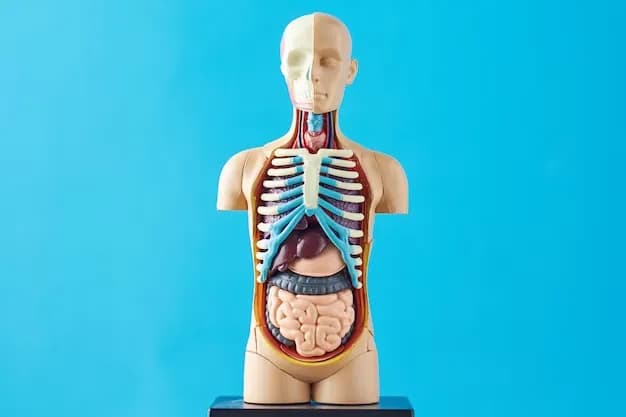 Anatomy Trivia