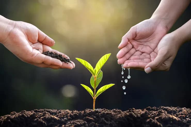 AgriQuiz: Test Your Farming Knowledge!