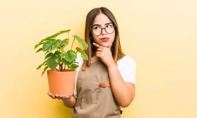 Plants Trivia Knowledge!