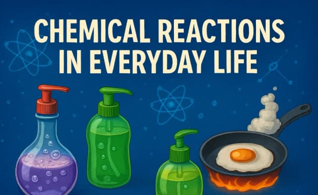 Chemical Reactions in Everyday Life