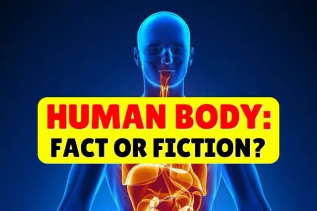 Human Body: Fact or Fiction?