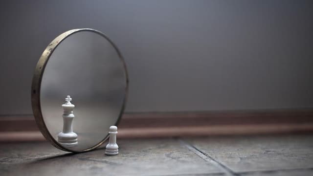 The Optical Illusion Quiz