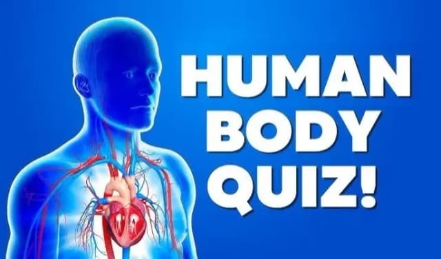 True or False: Human Body Quiz