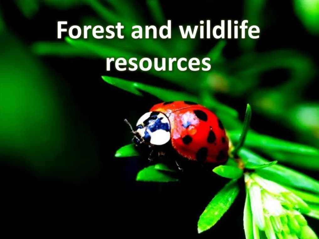 Forest and Wildlife Resources Quiz