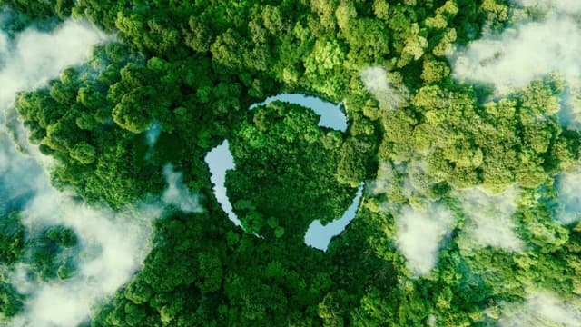 Nature’s Treasure Quiz