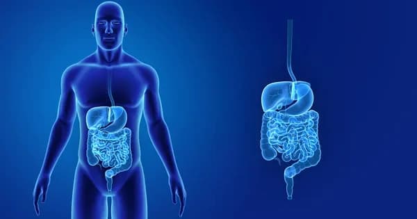 Digestive System Quiz