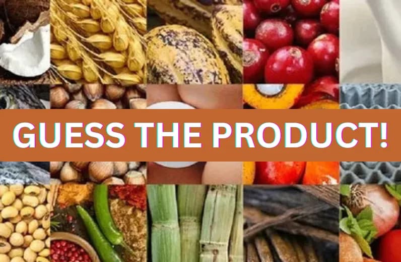Guess the Product!