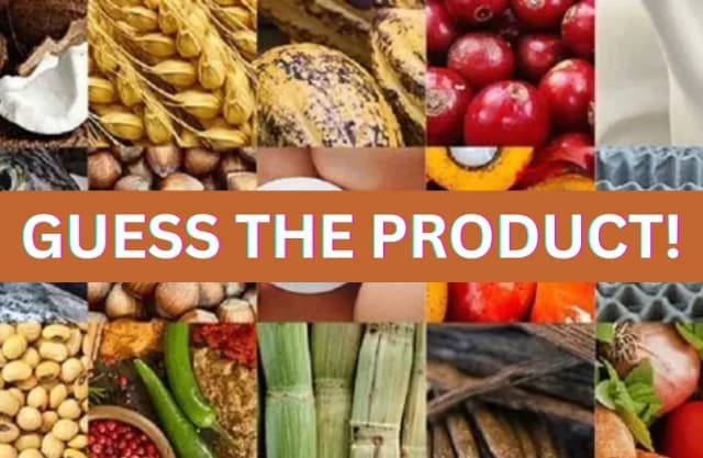 Guess the Product!